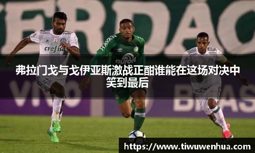 弗拉门戈与戈伊亚斯激战正酣谁能在这场对决中笑到最后