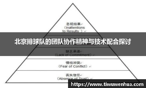 北京排球队的团队协作精神与技术配合探讨