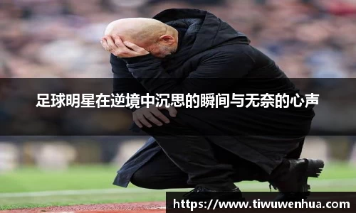 mgty芒果体育