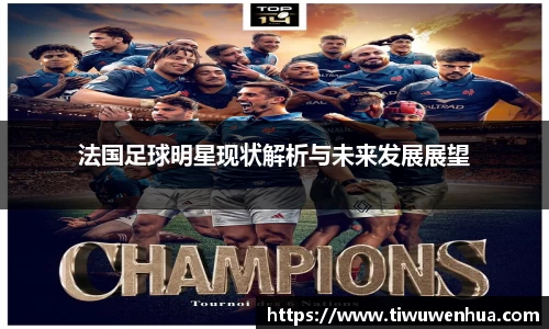 法国足球明星现状解析与未来发展展望